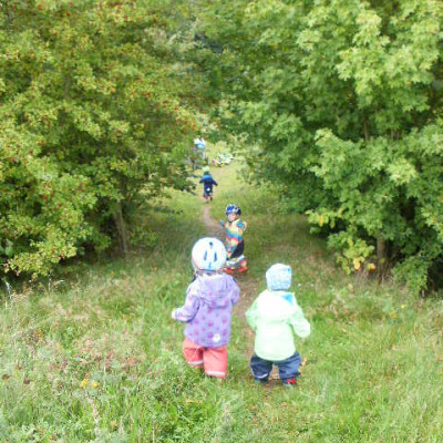 Feld Flur Wald
