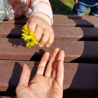 Blumen pflücken
